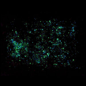 starglow starry sky paint