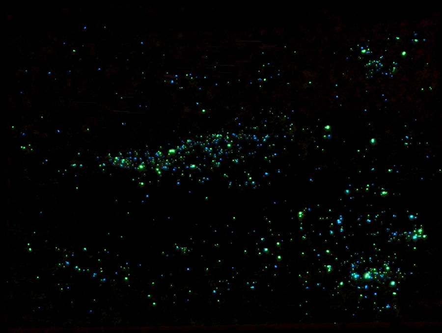 starglow starry sky paint